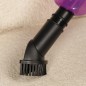 Aspirateur Balai 600W Violet - Prova PE-001GE Aspirateur Balai 600W Violet - Prova PE-001GE
