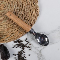 Cuillère à Glace en Inox avec Manche Bois