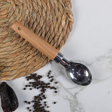 Cuillère à Glace en Inox avec Manche Bois
