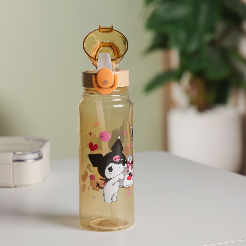 Gourde d'eau 550ML avec Paille