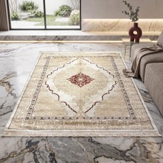 Tapis Salon en Soie 160x210 cm Ayma- SAMAR KAND 1005A