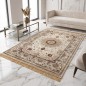 Tapis Salon en Soie 160x210 cm Ayma- SAMAR KAND 1002A