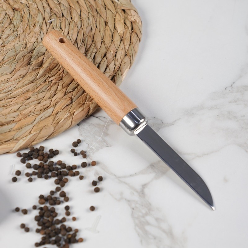 Couteau de Cuisine en Inox avec Manche en Bois