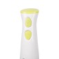 Mixeur Plongeant 250W 2 Vitesses - Lexical LHB-1601