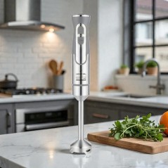 Mixeur Plongeant 800W EN Inox - Lexical LHB-1646