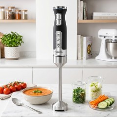 Mixeur Plongeant 1000W En Inox - Lexical LHB-1645