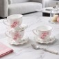 JN1-1 SCE CAFE AU LAIT 