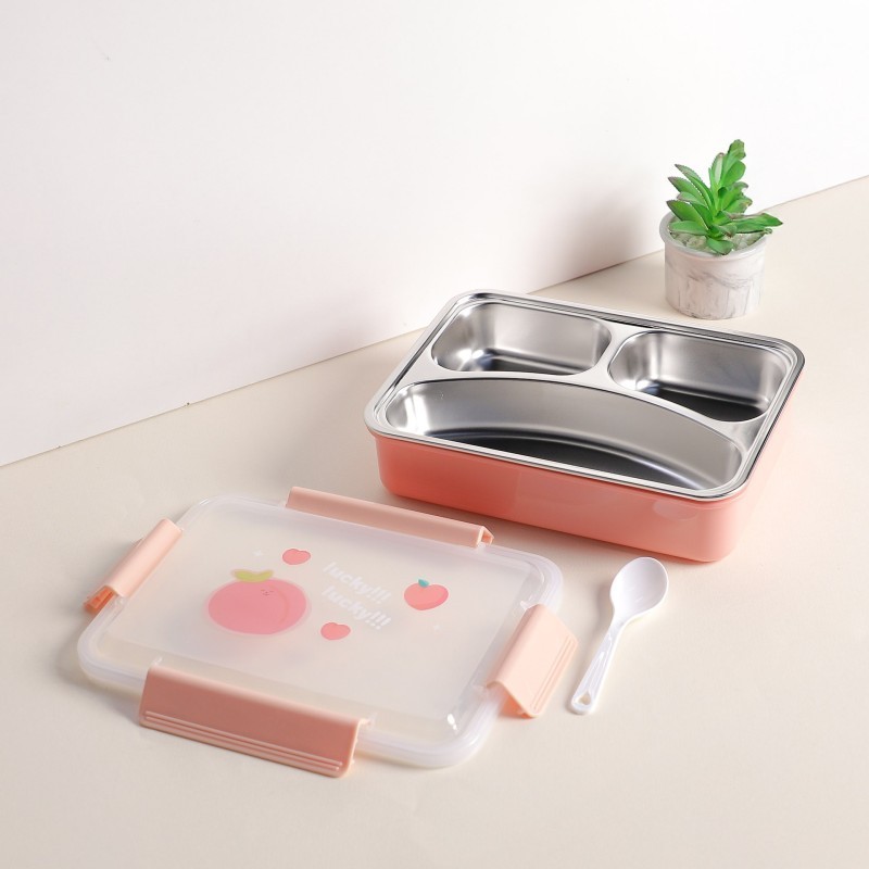 GT9-9 LUNCH BOX saumon