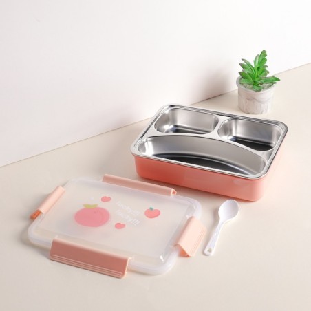 GT9-9 LUNCH BOX saumon