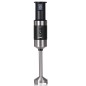 Mixeur Plongeant RAF R.30000 400W