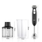 Mixeur Plongeant 3en1 RAF R.399 340W