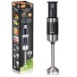 Mixeur Plongeant RAF R.30002B 400W