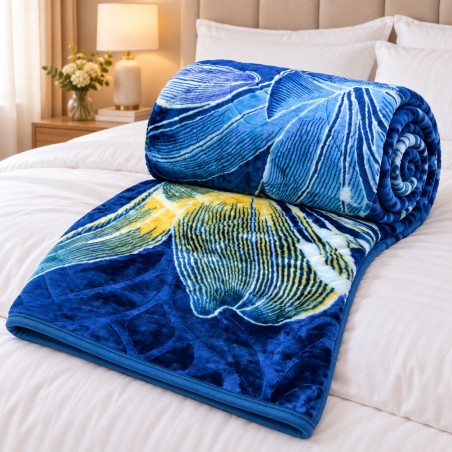 Couverture 2 Places en Polaire Microfibre 215 x 200 cm – 3 kg – Bleu