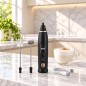 Fouet Électrique 2en1 2W Noir - DSP KA3132