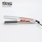 Lisseur Cheveux 75W Gris - DSP 11630S Lisseur Cheveux 75W Gris - DSP 11630S