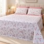 Cache-Couette 2 Places 100% Coton 230 x 240 cm avec 2 Taies