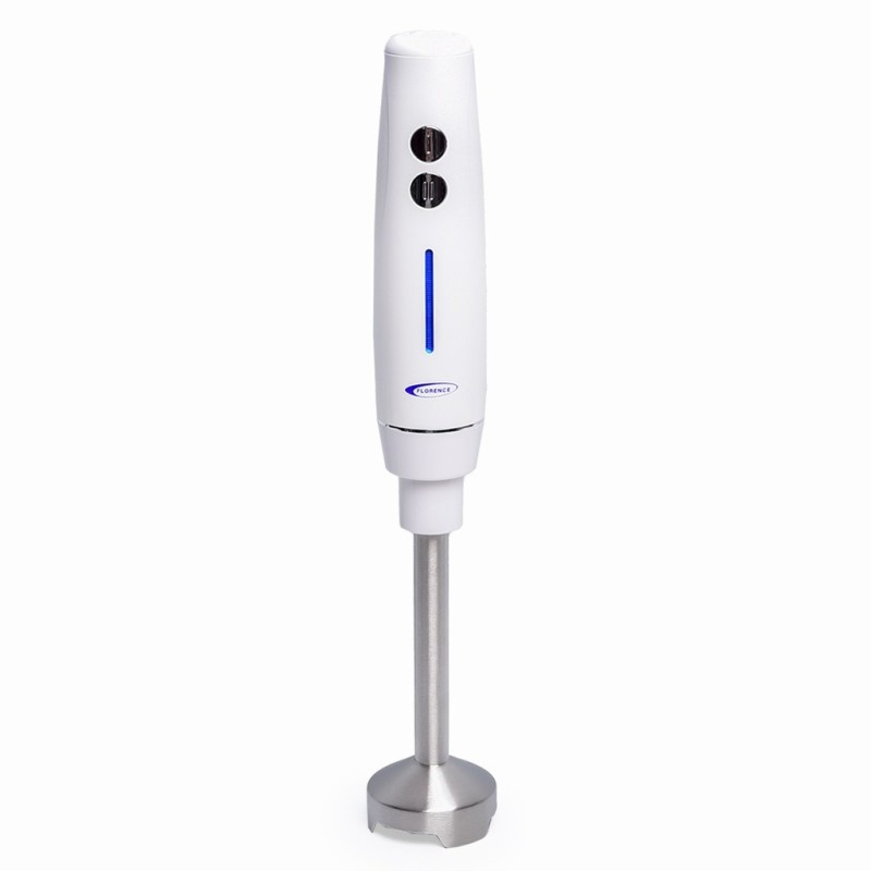 Mixeur Plongeant 250W Blanc - Florence HK404
