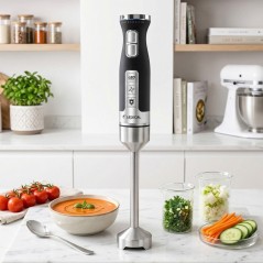 Mixeur Plongeant 1000W en Inox - Lexical LHB-1645