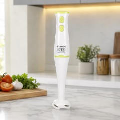 Mixeur Plongeant 250W Vert - Lexical LHB-1601