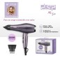 Sèche-Cheveux 1830W 38000RPM - DSP 37132