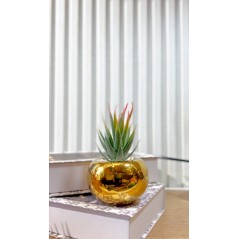 Plante Décorative en céramique 13 cm
