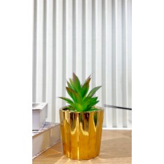 Plante Décorative en céramique 15 cm