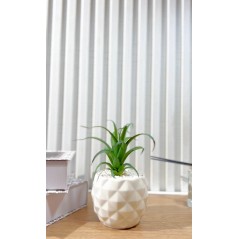 Plante Décorative en céramique 17 cm