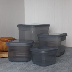 Set de 4 boîtes en plastique