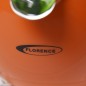 Presse Agrumes 450W Orange Florence HK-387