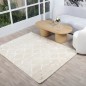 Tapis Salon en Soie 240x350 cm Bleu - Hazal D3