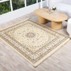 Tapis Salon en Laine 160x210 cm Ayma D4