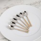 Lot de 6 Cuillères à Café Inox Manche Doré