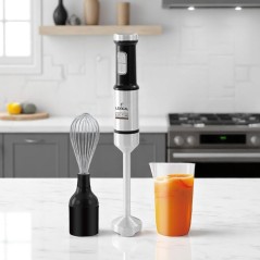 Mixeur Plongeant 1000W 3en1 Lexical LHB-1665